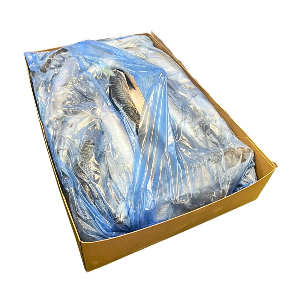 SABA NORWAY 400-600G 44LB