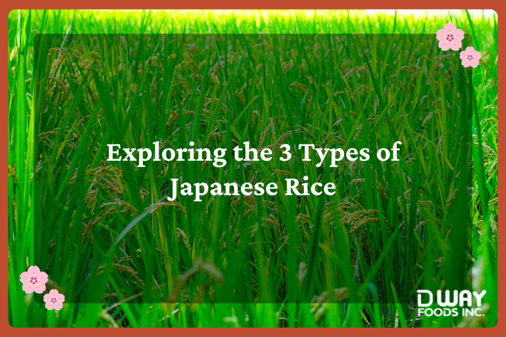 Exploring the 3 Types of Japanese Rice