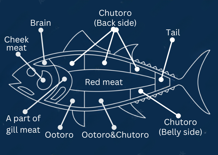 Parts of Tuna