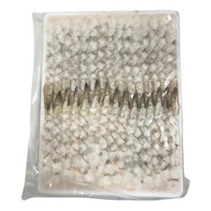 NOBASHI 26/30 WH 30PCX30