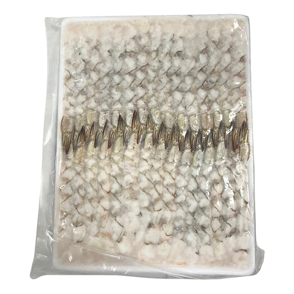 NOBASHI 26/30 WH 30PCX30