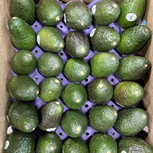 AVOCADO 60PC