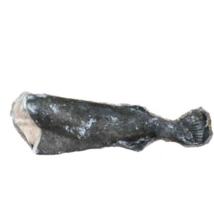 BLACK COD 7+